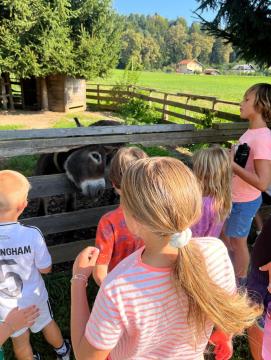 Kratkočasnice - Športne igre